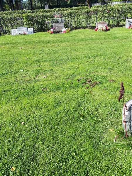 Gravnummer: NK A A    93