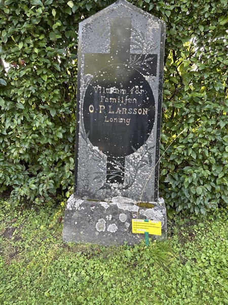 Gravnummer: IN 05   154
