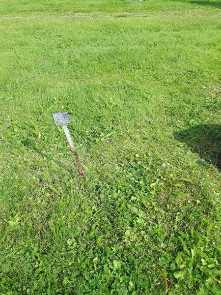 Gravnummer: NK A A   318