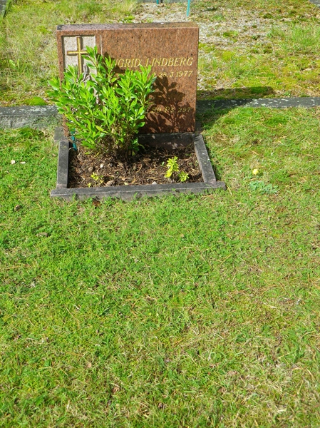 Grave number: VI B    66