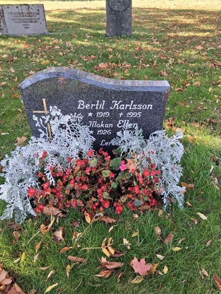 Grave number: SRG 2   223