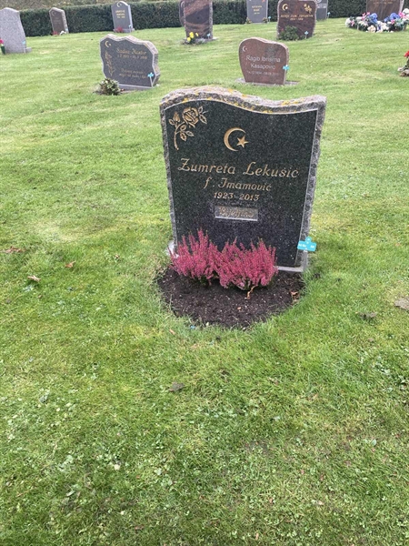 Hautatunnus: 1 3 M/Be    50