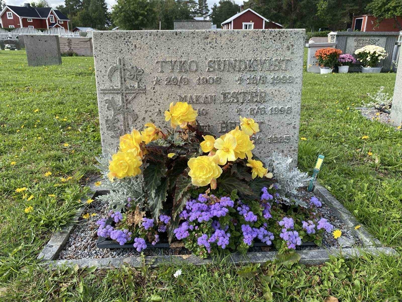 Grave number: 2 08   183