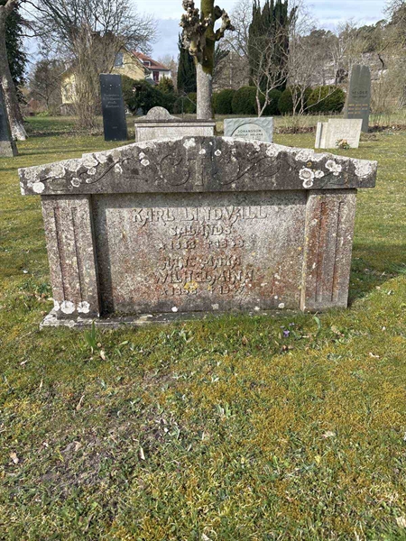 Gravnummer: LI    46