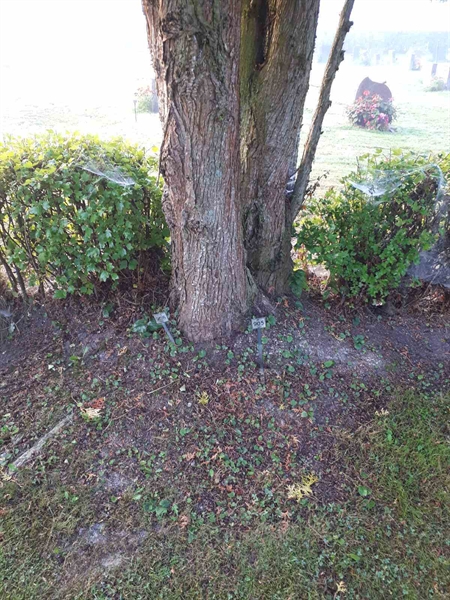 Hautatunnus: NK F B   905-906