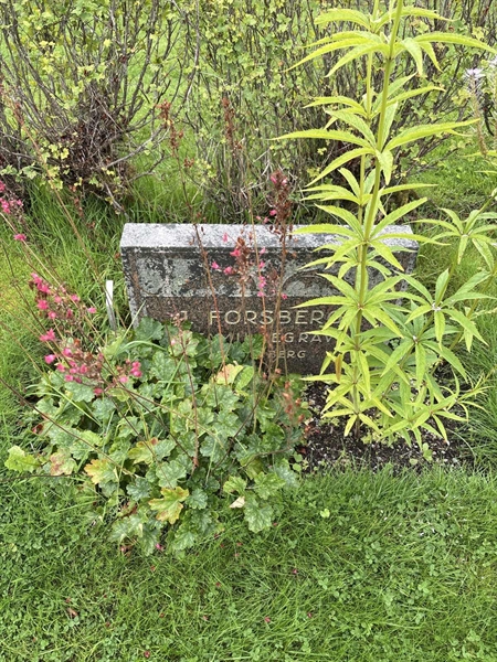 Grave number: 4 M MD    55-57
