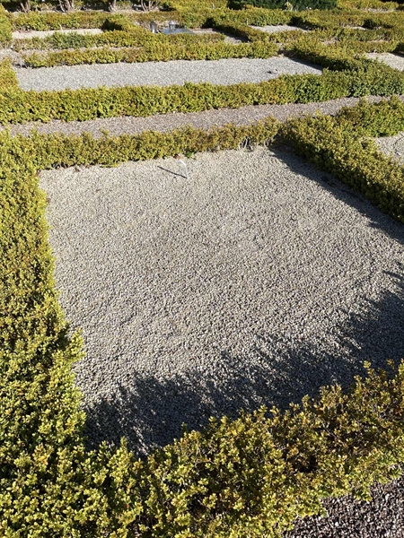 Grave number: NK E 82-83