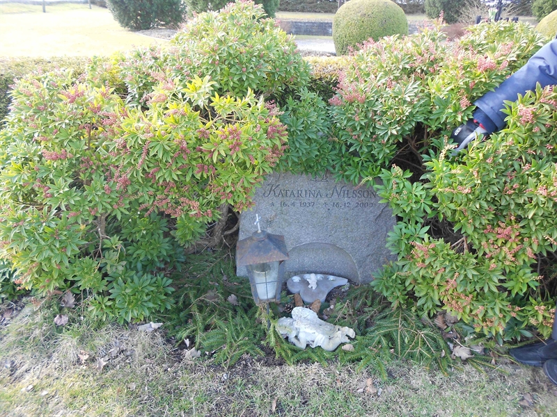 Grave number: V 41   251