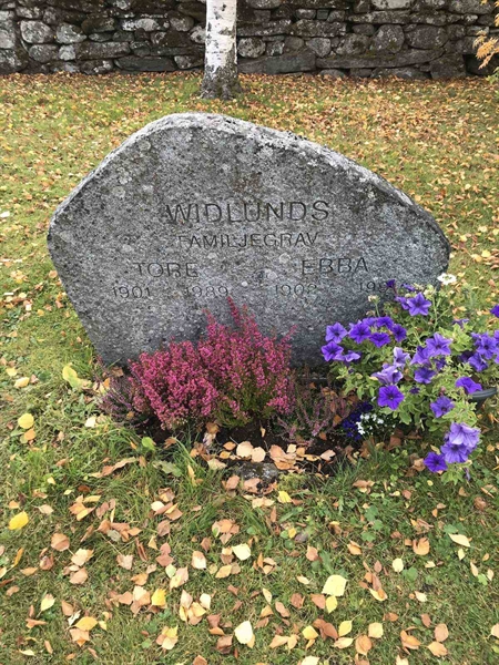 Grave number: ÅR A  464-B