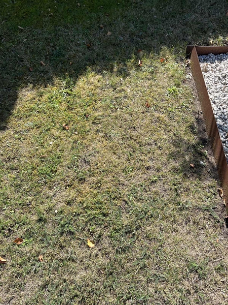 Grave number: NK XV:u    11