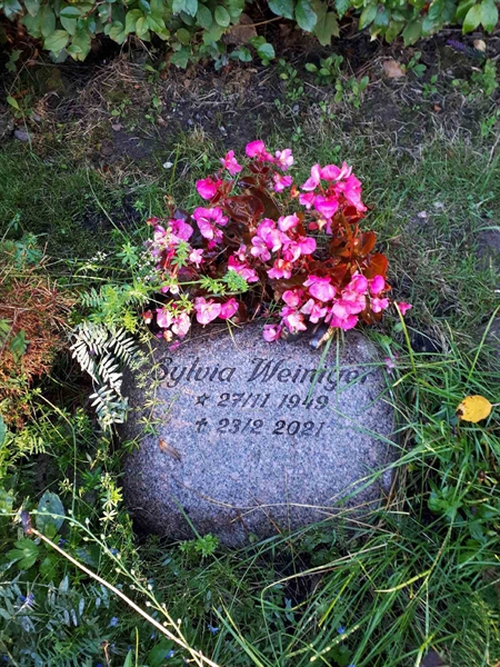 Hautatunnus: NK F D   517