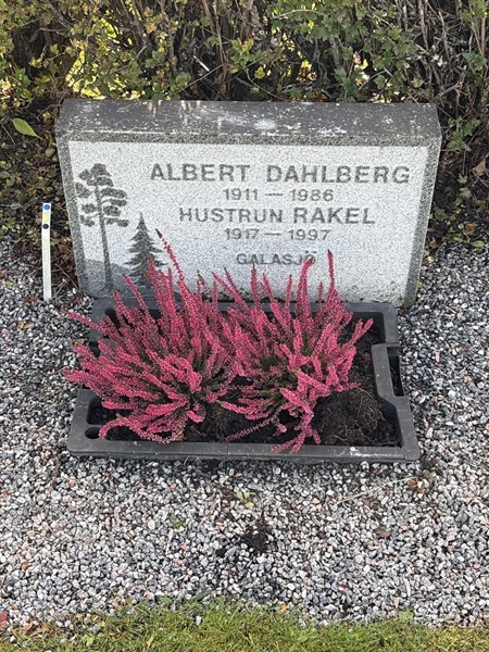 Grave number: 4 N ND   150