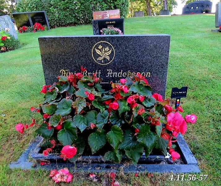 Grave number: 4 11    56-57