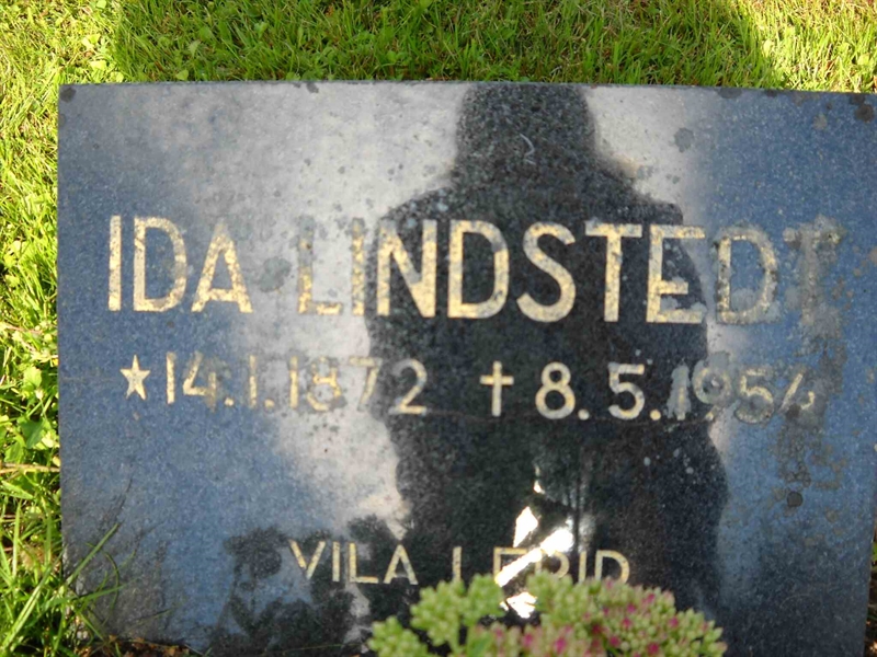 Grave number: 3 MB 16 66