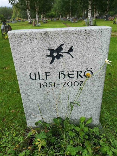 Hautatunnus: NK 17   111