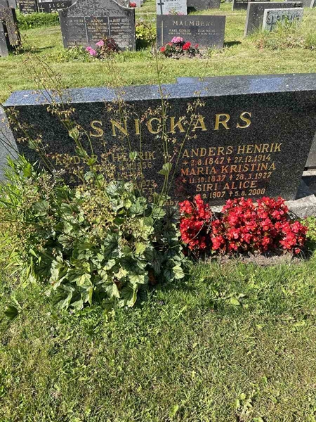 Hautatunnus: N 5 1    54