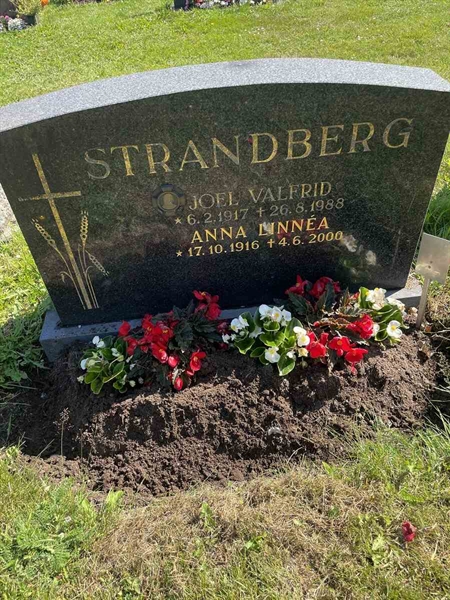 Hautatunnus: N 5 1    40