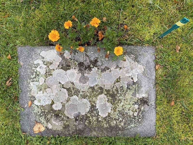 Hautatunnus: 1 24    217