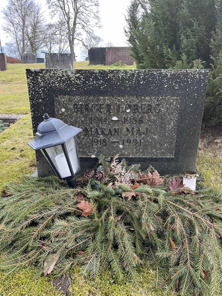 Gravnummer: HA B     9