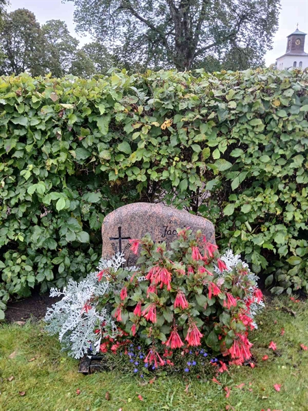 Grave number: 2 10  629, 630, 631