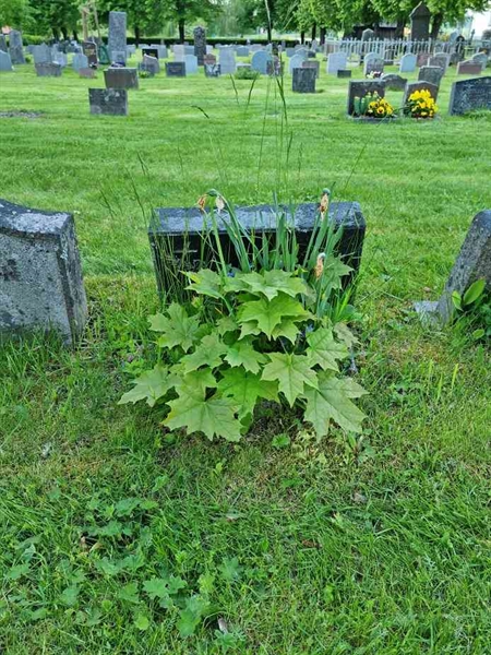 Grave number: 1 E1 73