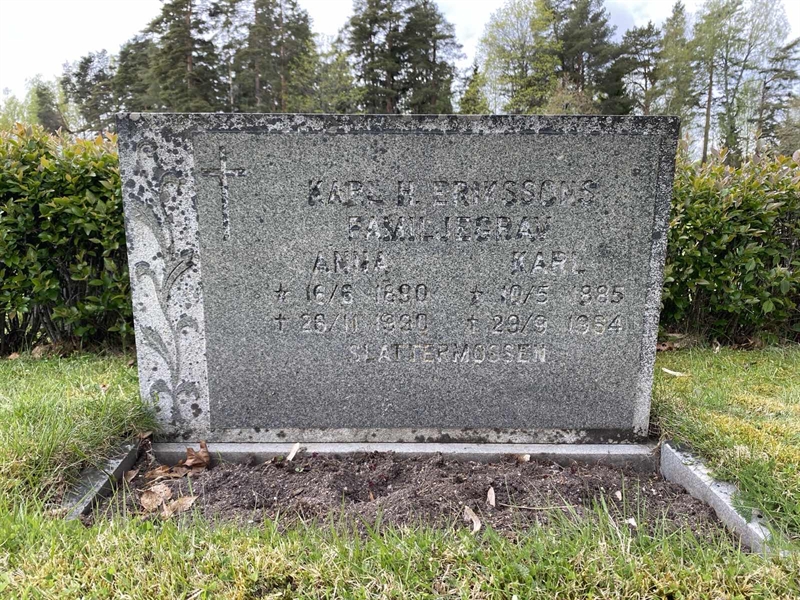 Hautatunnus: 1 04    195, 196