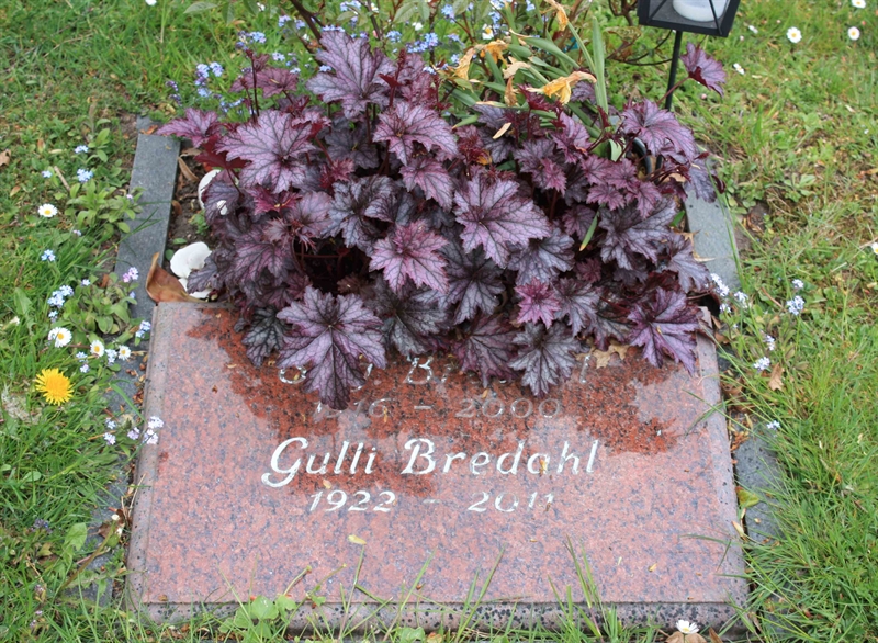 Grave number: Ö 46   100