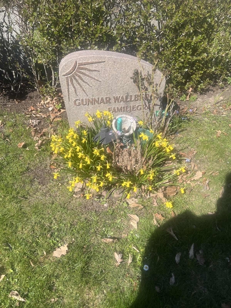 Grave number: 1 3 F1 302