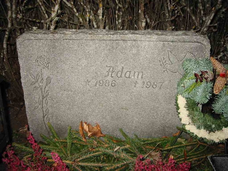 Grave number: KV 19    76