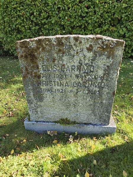 Grave number: T B C   141