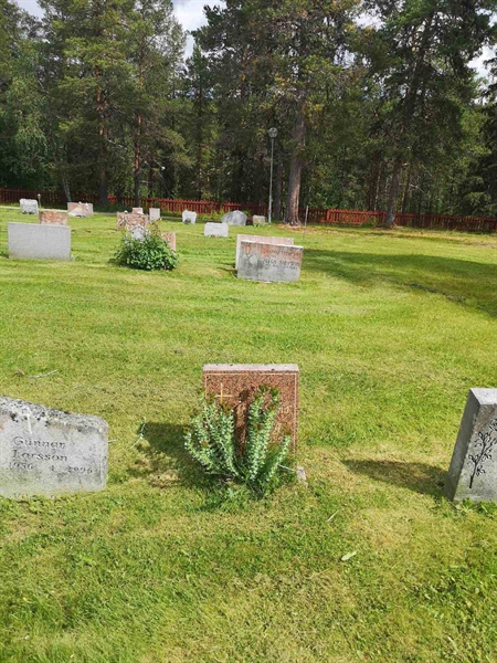 Hautatunnus: PK   772