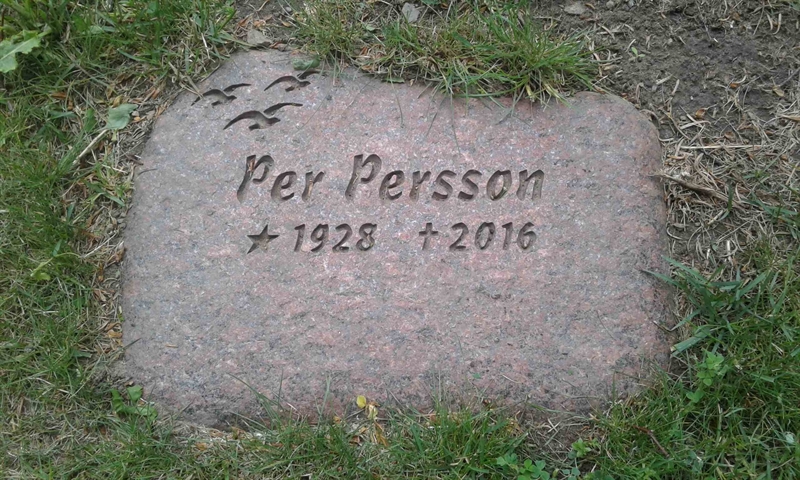 Hautatunnus: 1 4 AGP    93