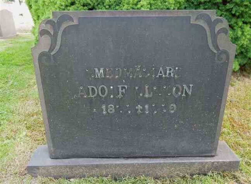 Grave number: SN D   203