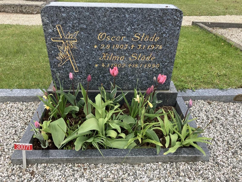 Grave number: NÅ 30   177, 178