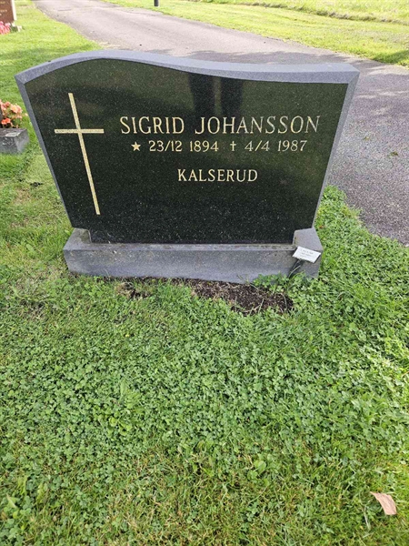 Grave number: Fr 8   539