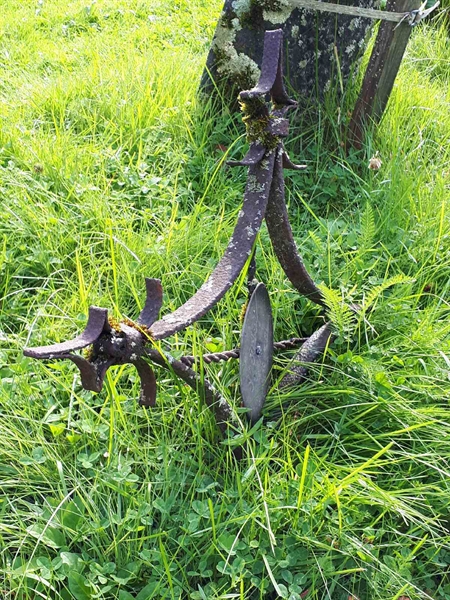 Hautatunnus: GK A 4   246V