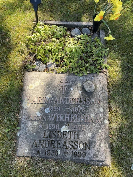 Gravnummer: 22 AU    48