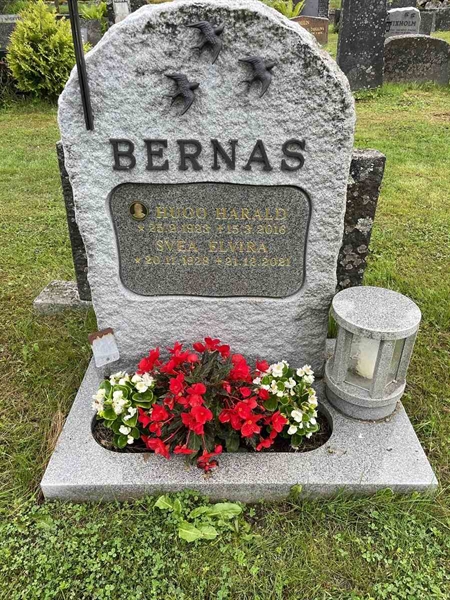 Gravnummer: N 4 4   536