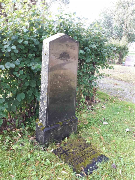 Gravnummer: GK F 4   374