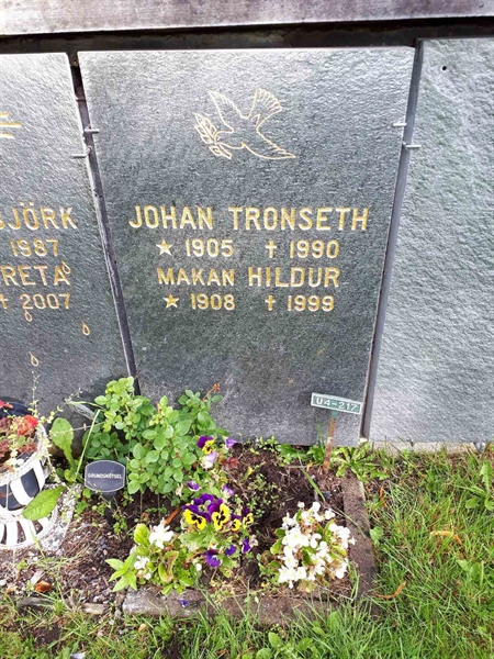 Gravnummer: GK U 4   217