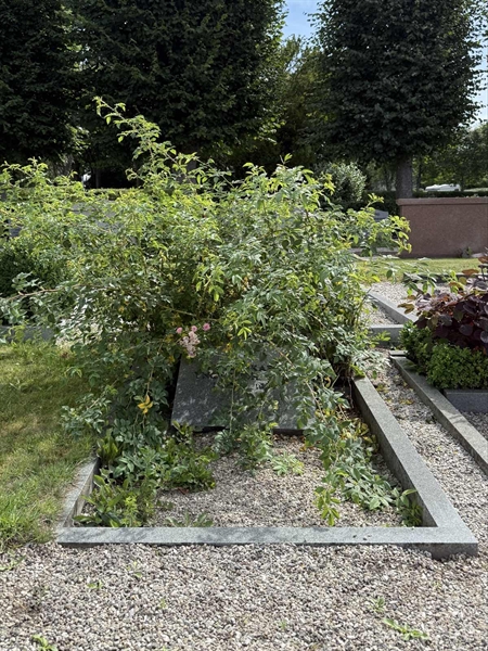 Grave number: ON C   423