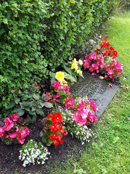 Gravnummer: GK F 5   507