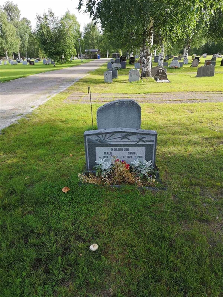 Hautatunnus: NK 17    48