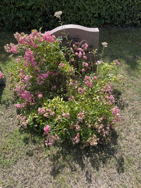 Grave number: NK I:u     7