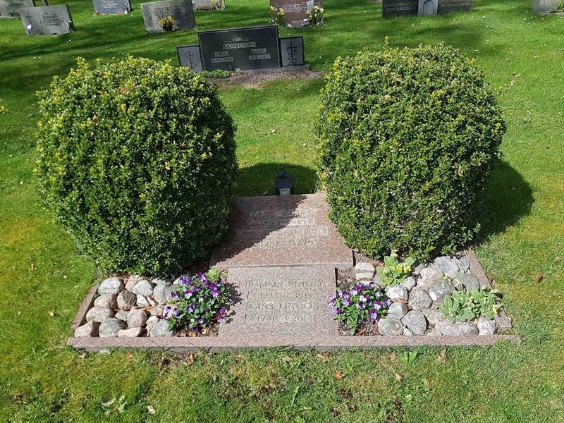 Grave number: 01  3225