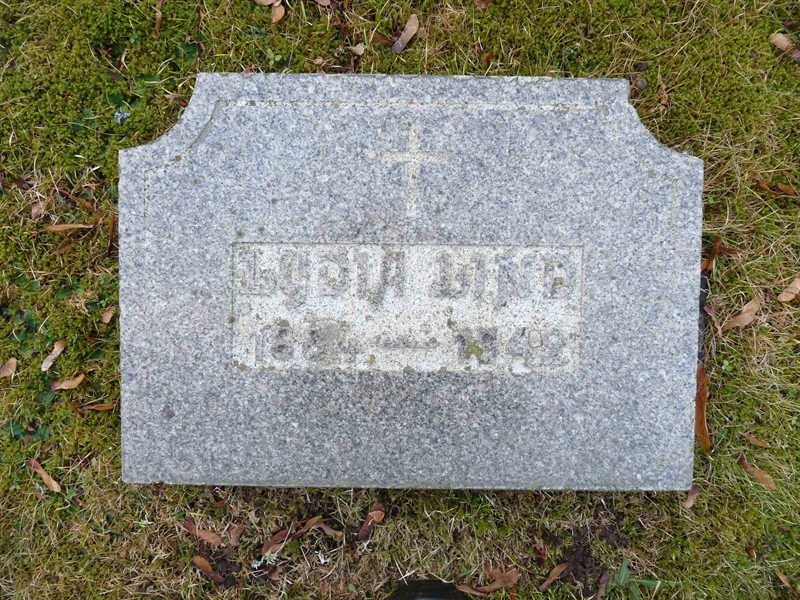 Grave number: SV 2   33
