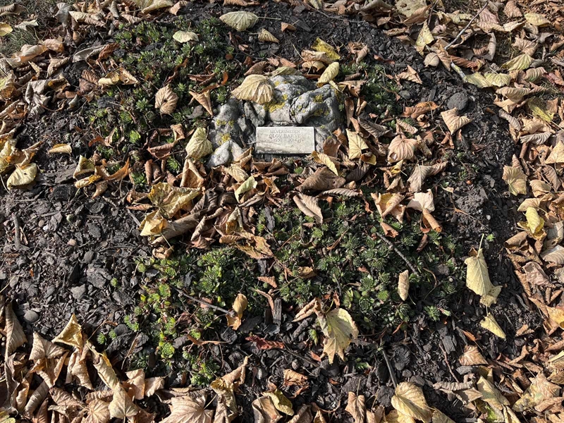 Grave number: Ö 17    14.A-B