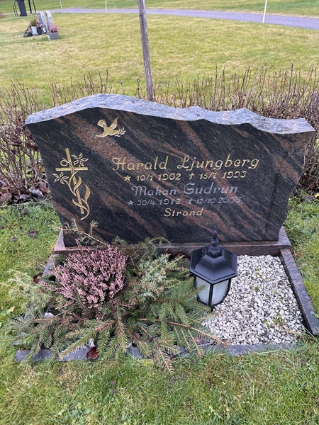 Grave number: Ärt 60 29    64+65