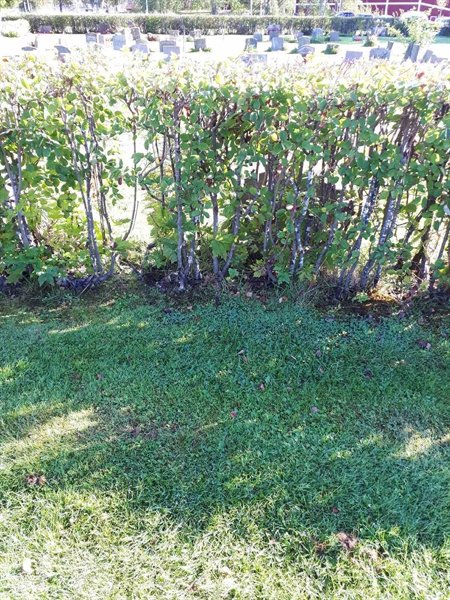 Gravnummer: NK F B    66