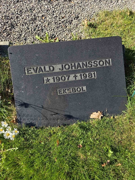 Grave number: T A D   767